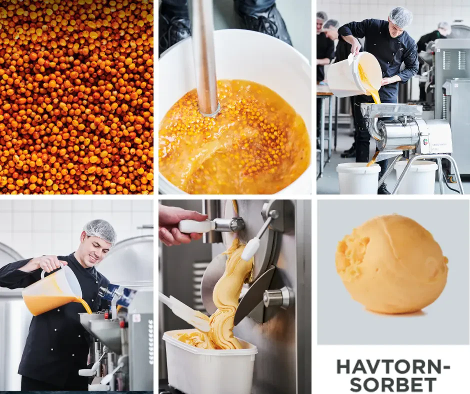 So machen wir unser Sanddorn Sorbet