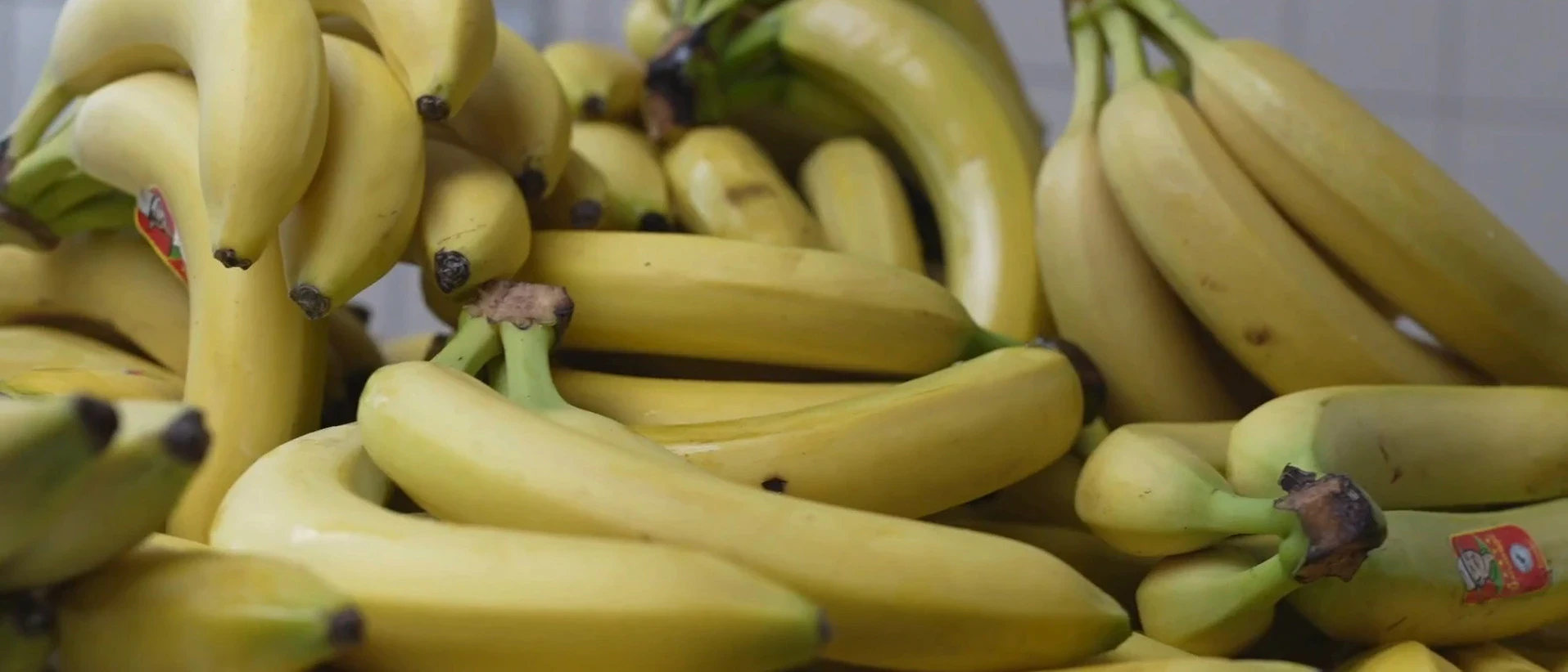 Modne bananer