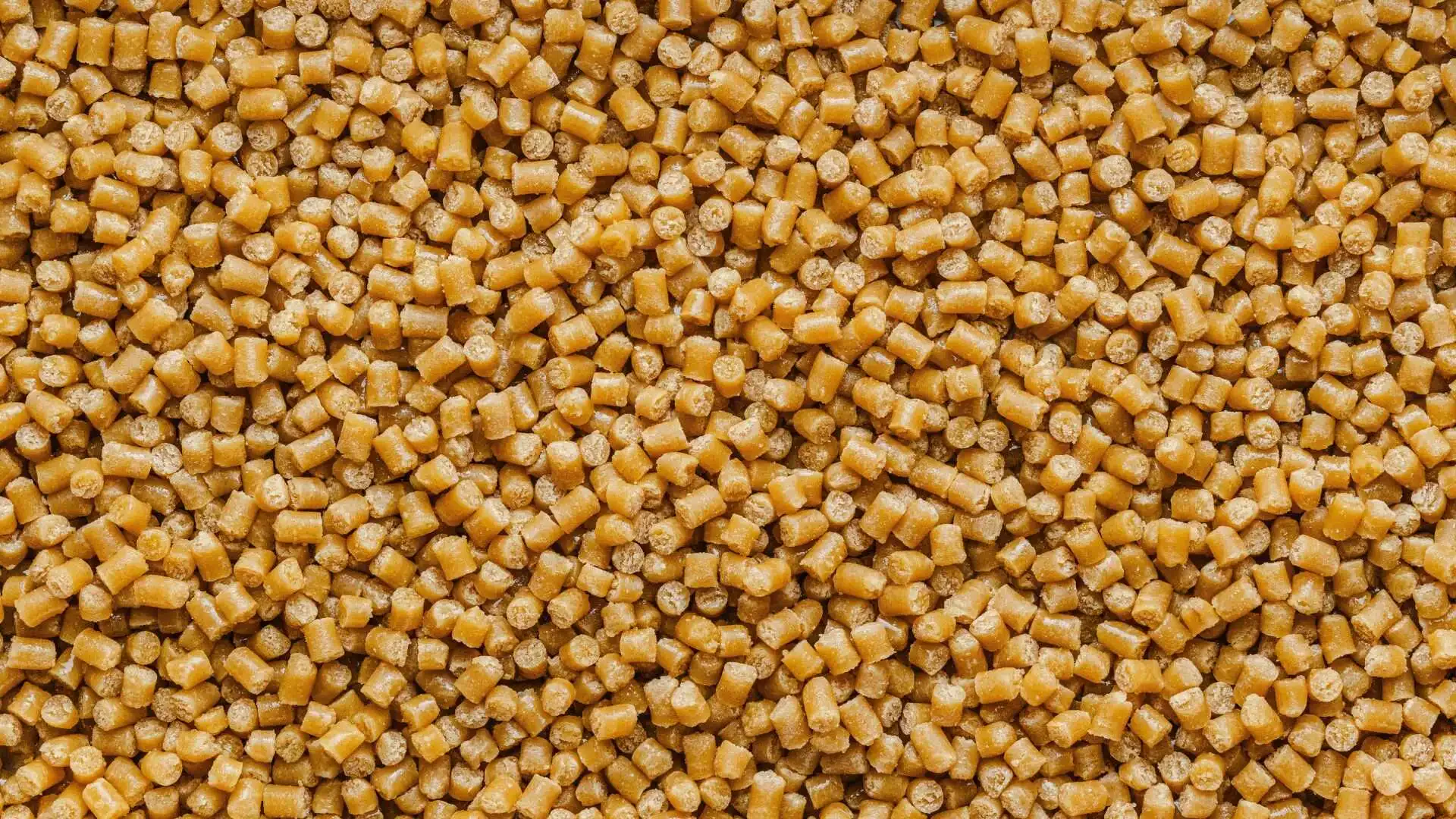 Lækre Cookie Dough chunks eller piller som bruges i isen