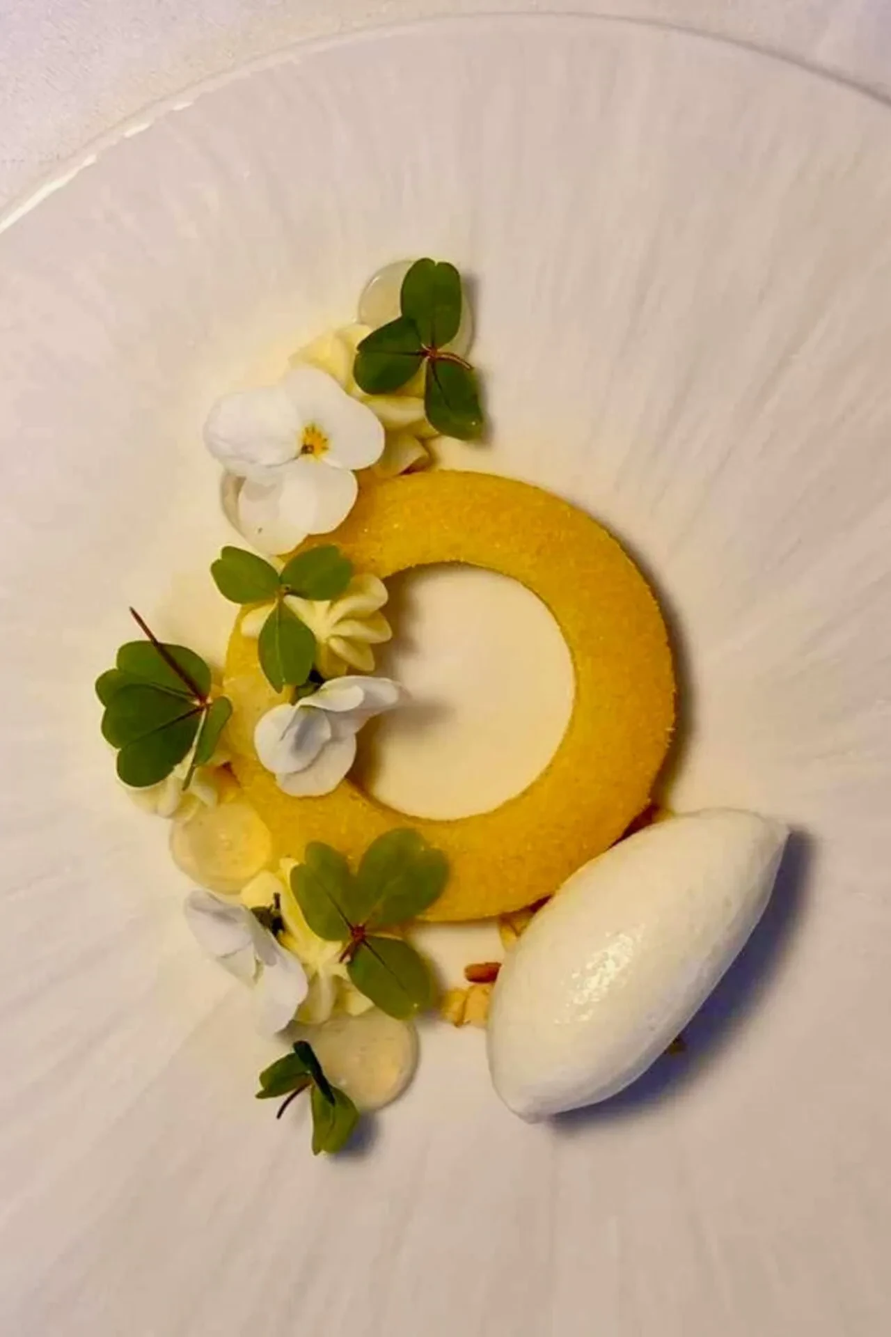 Mazarin med stikkelsbær sorbet, hvid chokolade creme, hyldeblomst gele og urter