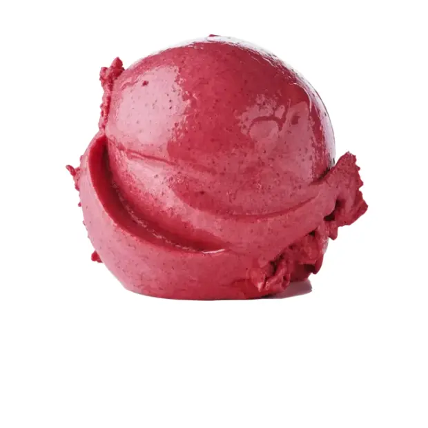 Sorbet