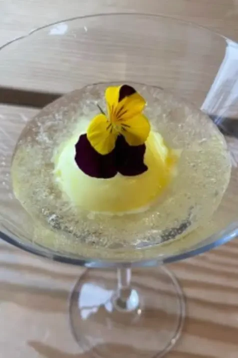 Mimosa