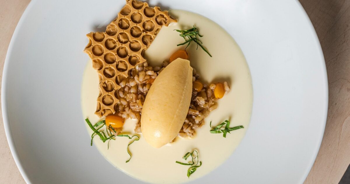 Panna cotta with seabuckthorn sorbet