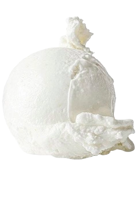 en flot kugle af den nye stikkelsbær sorbet