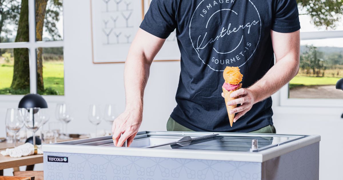 Vegan Seabuckthorn Sorbet